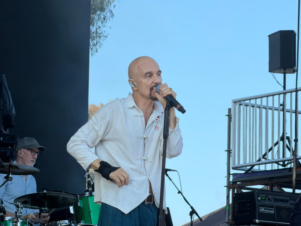 Ohana Festival, Dana Point